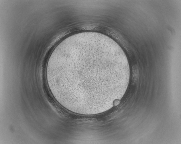 X0000114520626200911161317