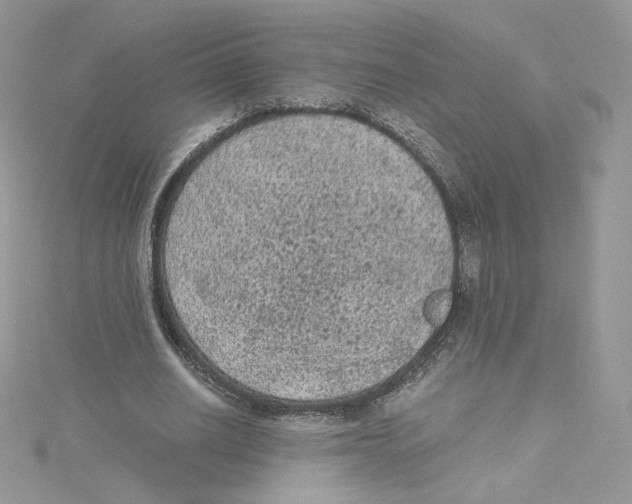 X0000114520630200911161317