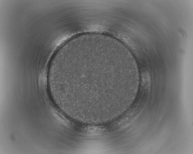 X0000114520632200911161317