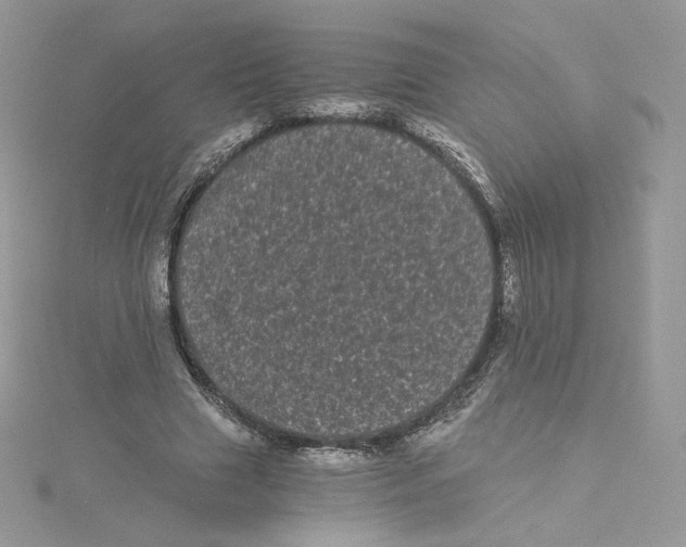 X0000114520633200911161317