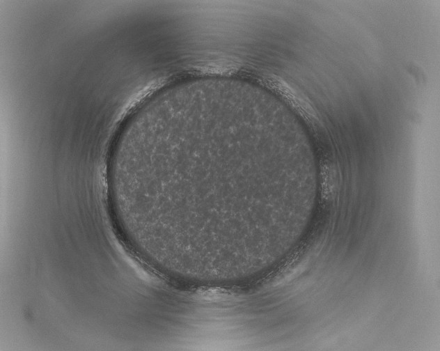 X0000114520634200911161317