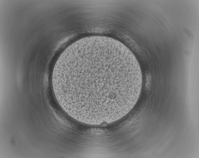 X0000114520636200911161317