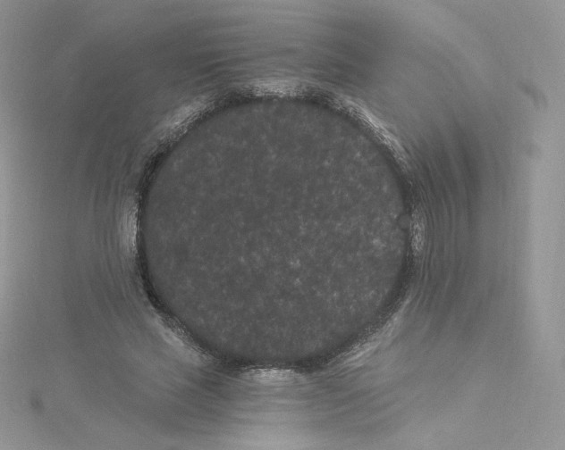 X0000114520637200911161317