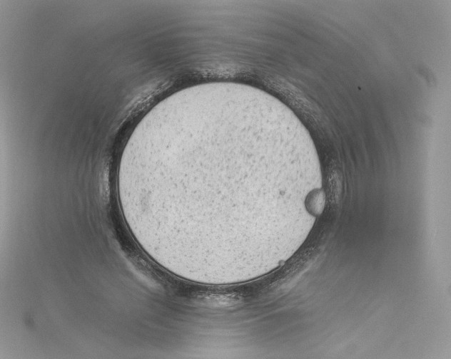 X0000114520638200911161317