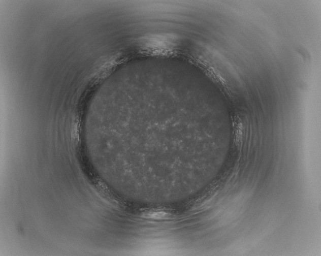 X0000114520643200911161317