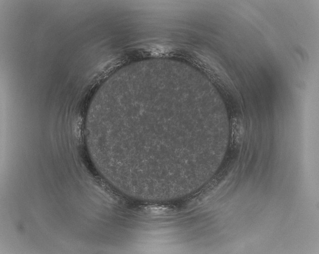 X0000114520650200911161317