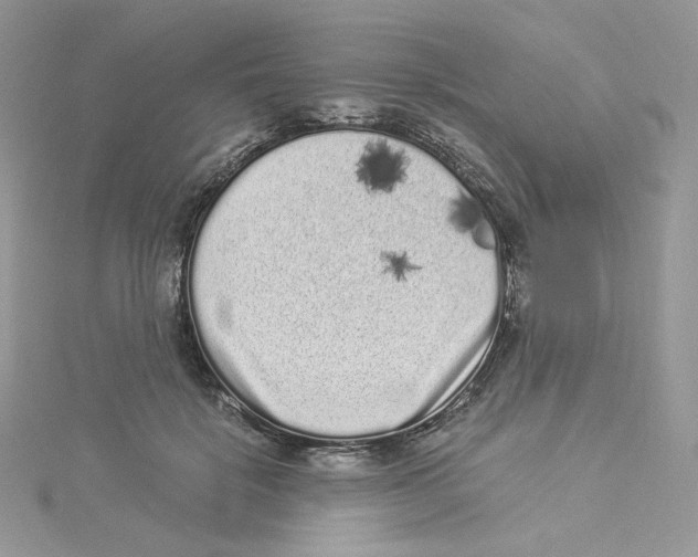 X0000114520652200911161317