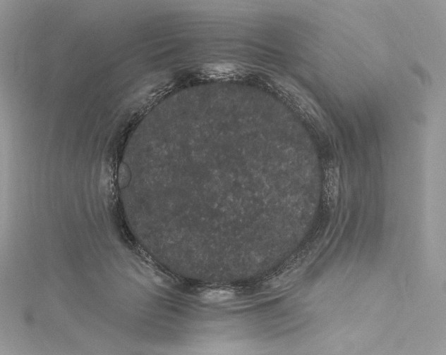 X0000114520653200911161317