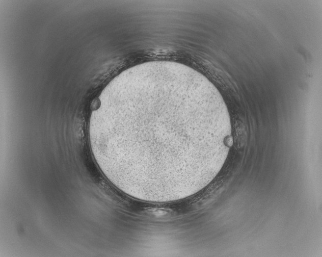 X0000114520654200911161317