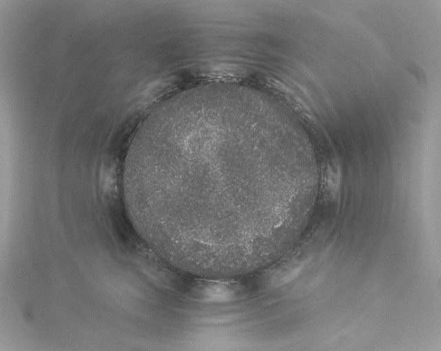 X0000114520663200911161317