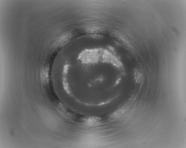 X0000114520670200911161317