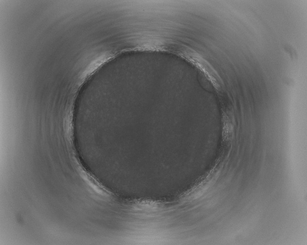 X0000114520677200911161317