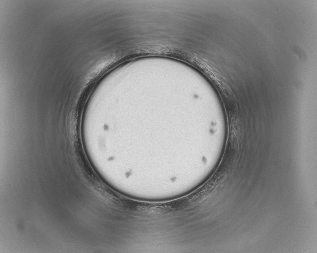 X0000114520679200911161317