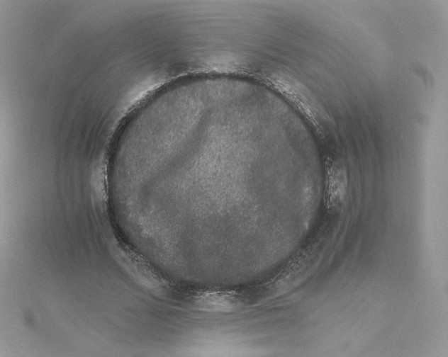 X0000114520680200911161317