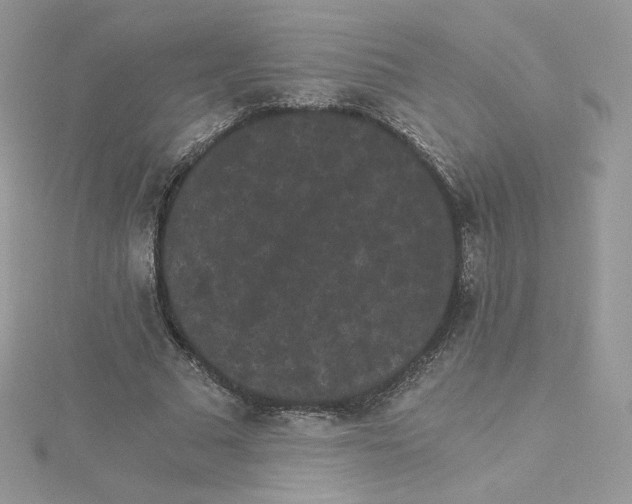 X0000114520681200911161317