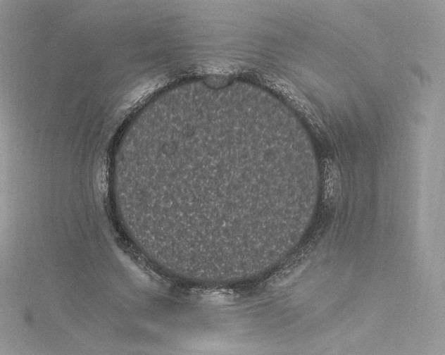 X0000114520683200911161317