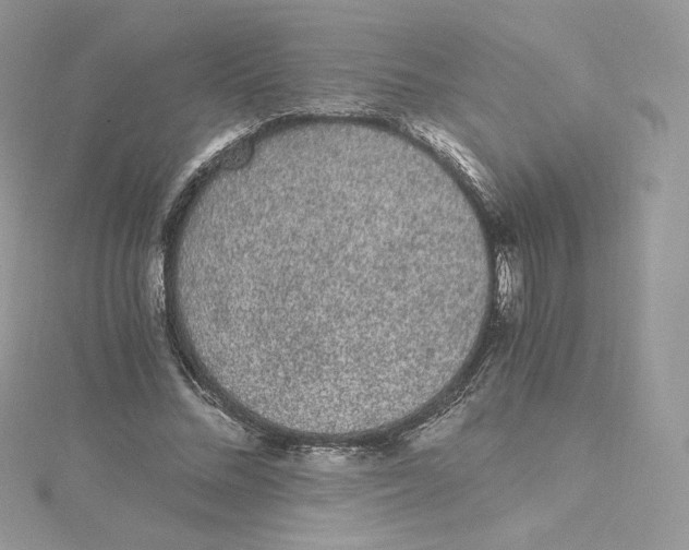 X0000114520684200911161317