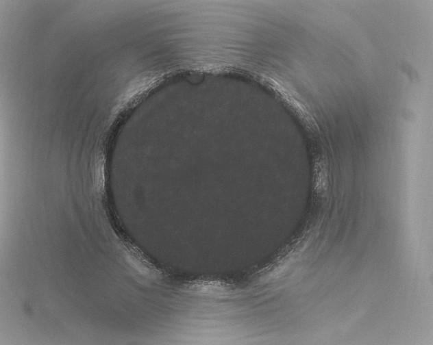 X0000114520685200911161317