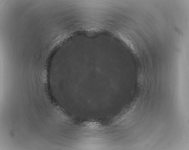 X0000114520689200911161317