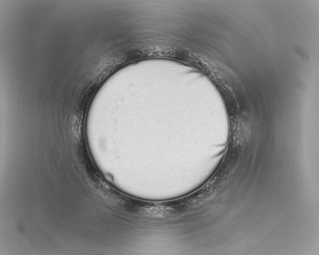 X0000114520695200911161316