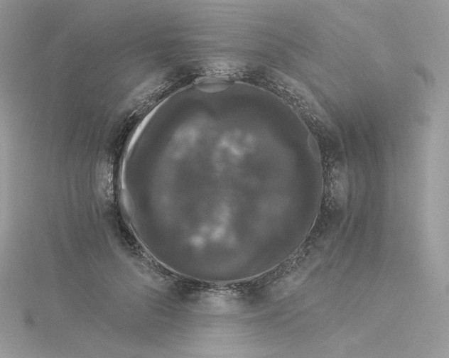 X0000114520696200911161316