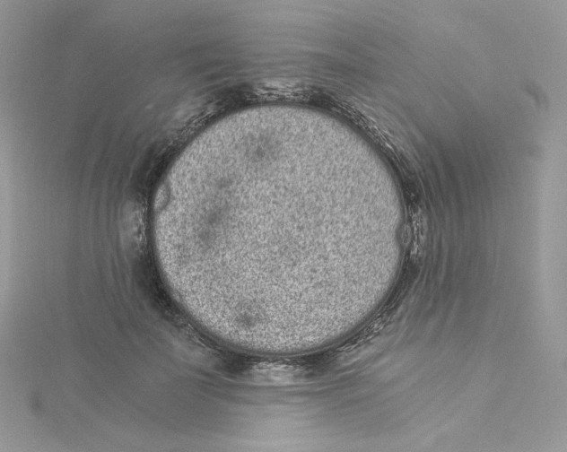 X0000114520699200911161316