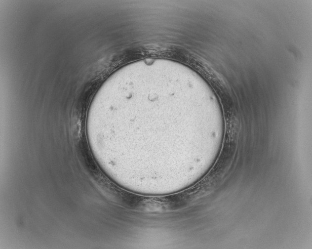 X0000114520703200911161316