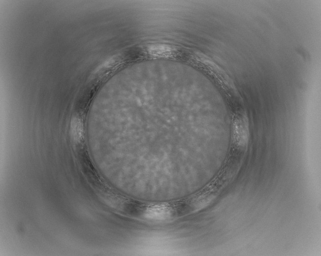 X0000114520705200911161316