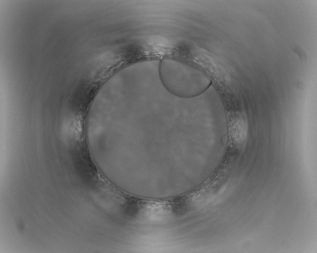 X0000114520709200911161316