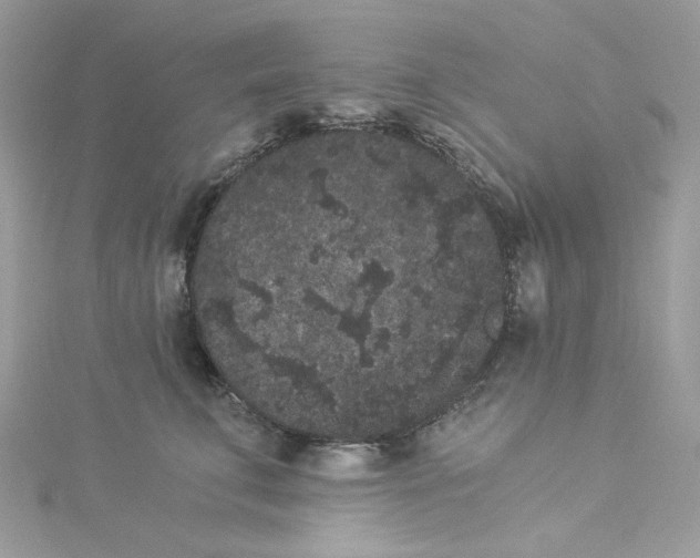 X0000114520711200911161316