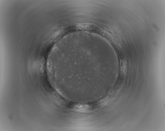 X0000114520712200911161316