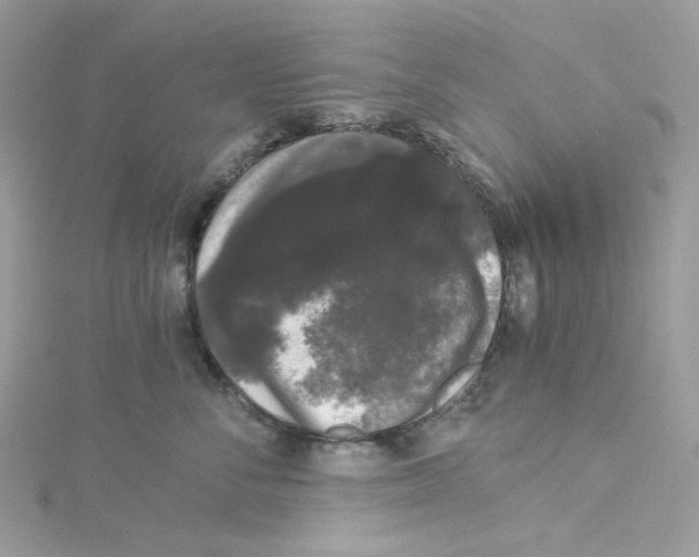 X0000114520716200911161316