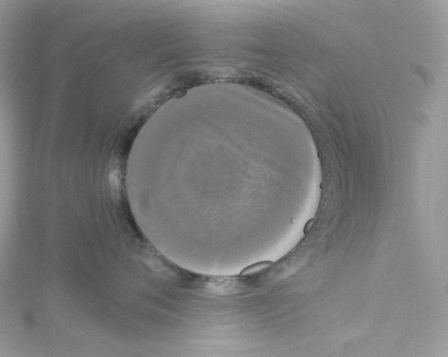 X0000114520720200911161316