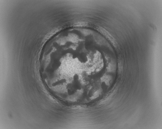 X0000114520721200911161316