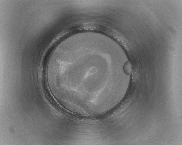 X0000114520722200911161316