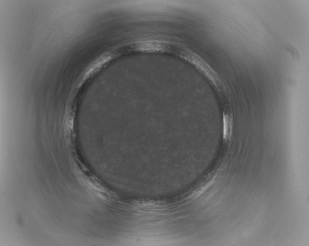 X0000114520723200911161316