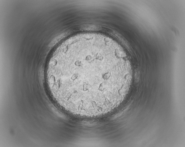 X0000114520725200911161316