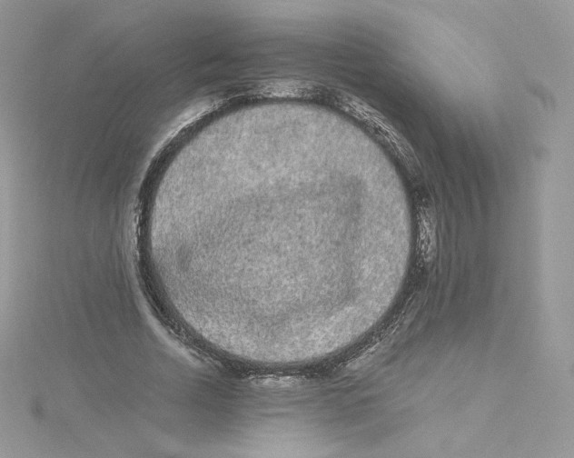 X0000114520730200911161316