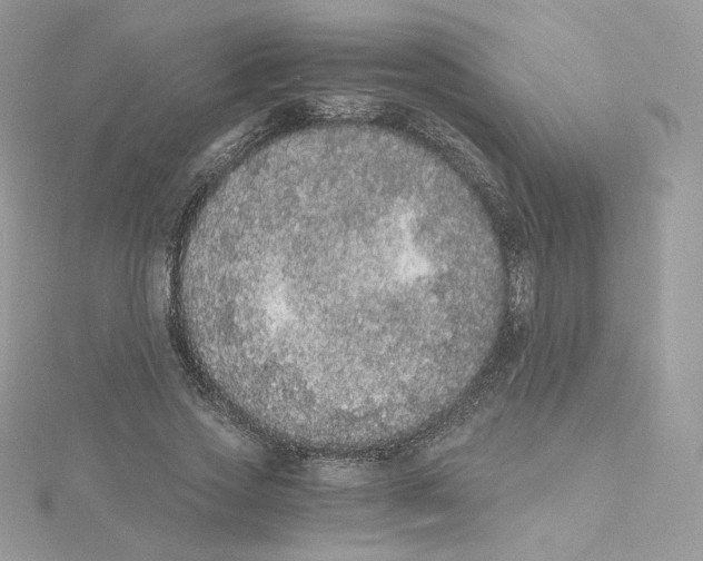 X0000114520733200911161316