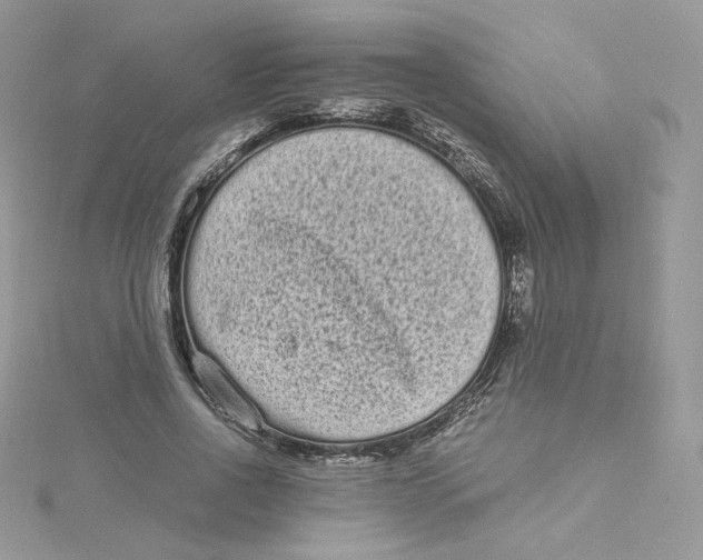 X0000114520734200911161316