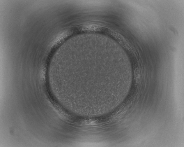 X0000114520735200911161316