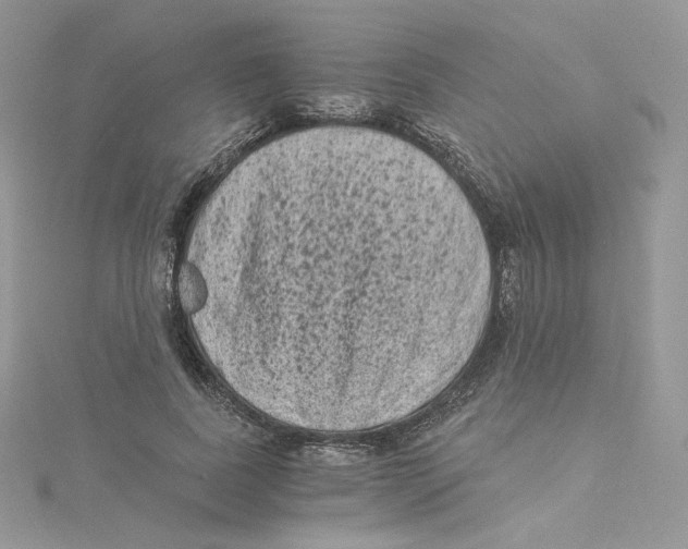 X0000114520739200911161316