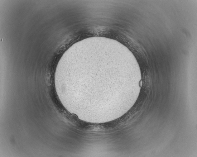 X0000114520750200911161316