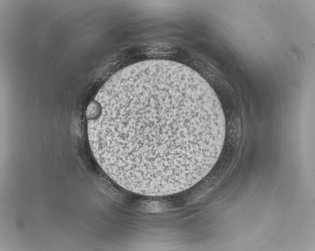 X0000114520755200911161316