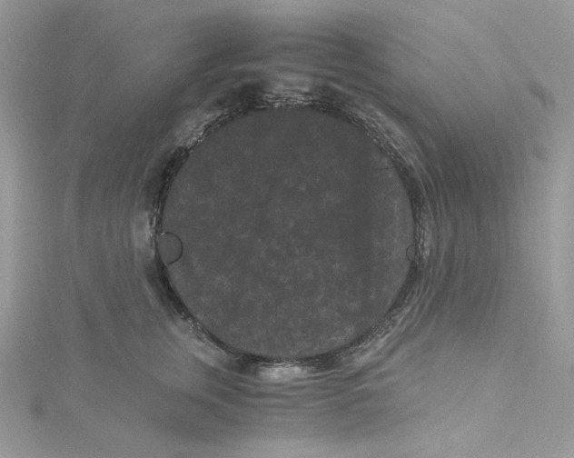 X0000114520759200911161316