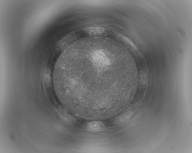 X0000114520761200911161316