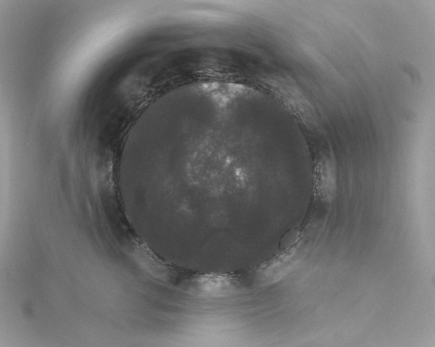 X0000114520762200911161316