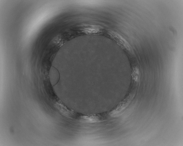 X0000114520763200911161316