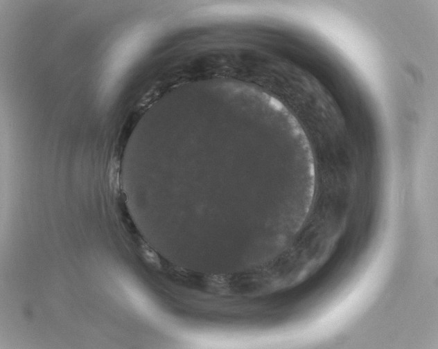 X0000114520766200911161316