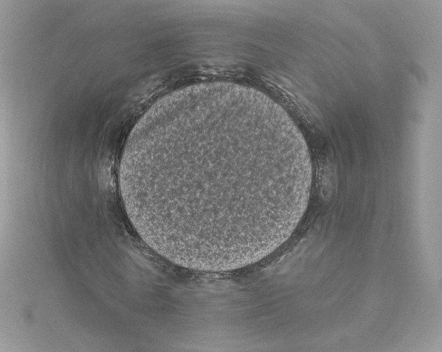 X0000114520770200911161316